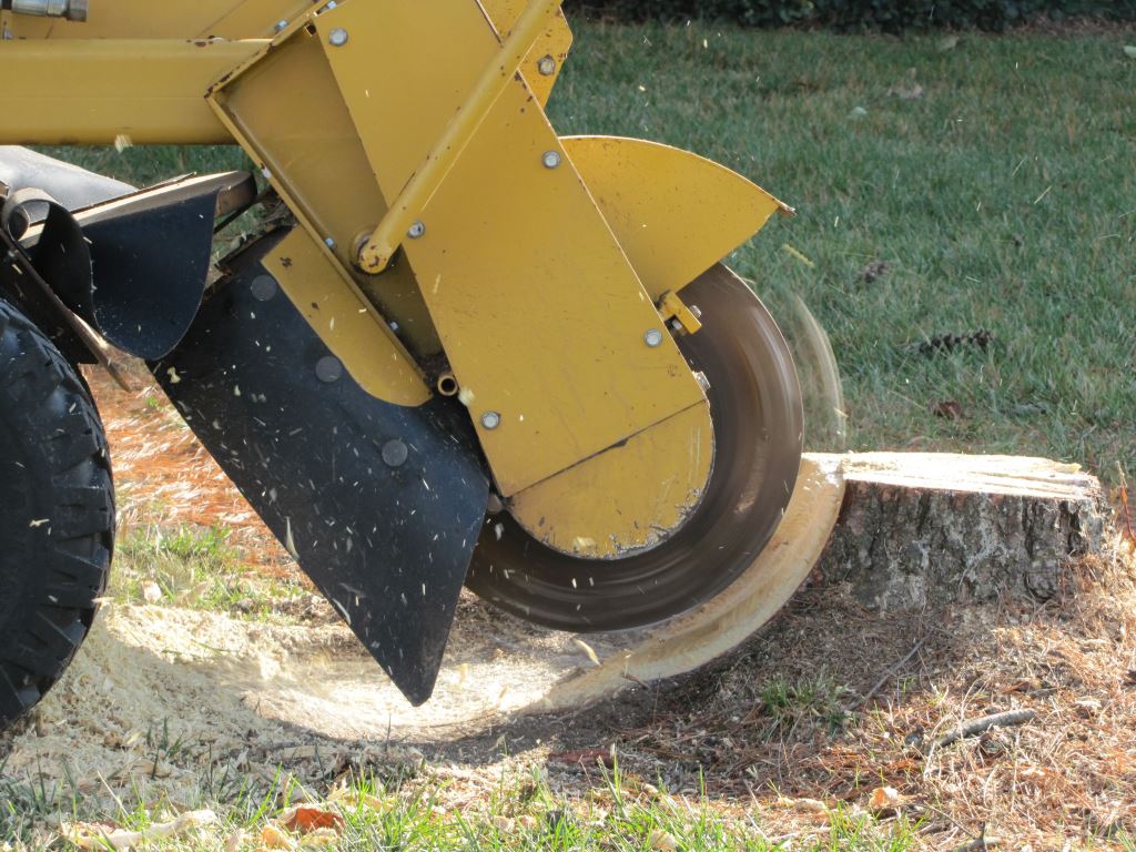 Stump Grinding