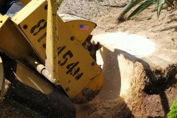 A yellow bulldozer efficiently cutting down a tree, showcasing professional stump removal services in action.