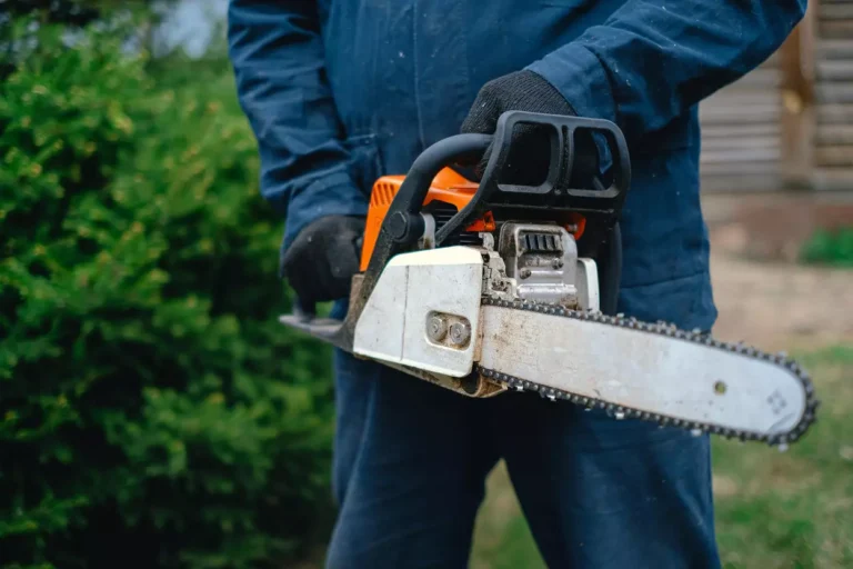 Dickinson Tree Trimming & Pruning Services