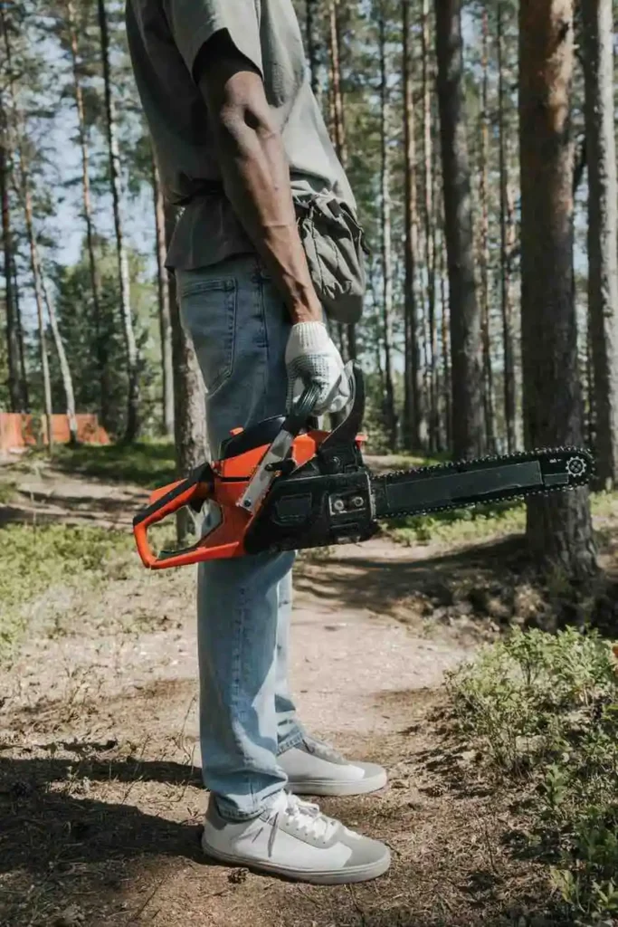 1. A man in the woods confidently holds a chainsaw, ready to provide expert tree service and maintenance.