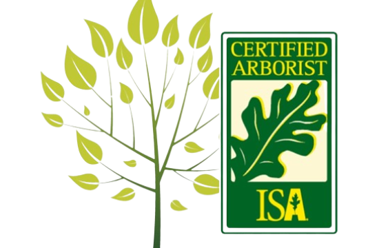 4-47817_certified-arborist-isa-isa-certified-arborist-removebg-preview